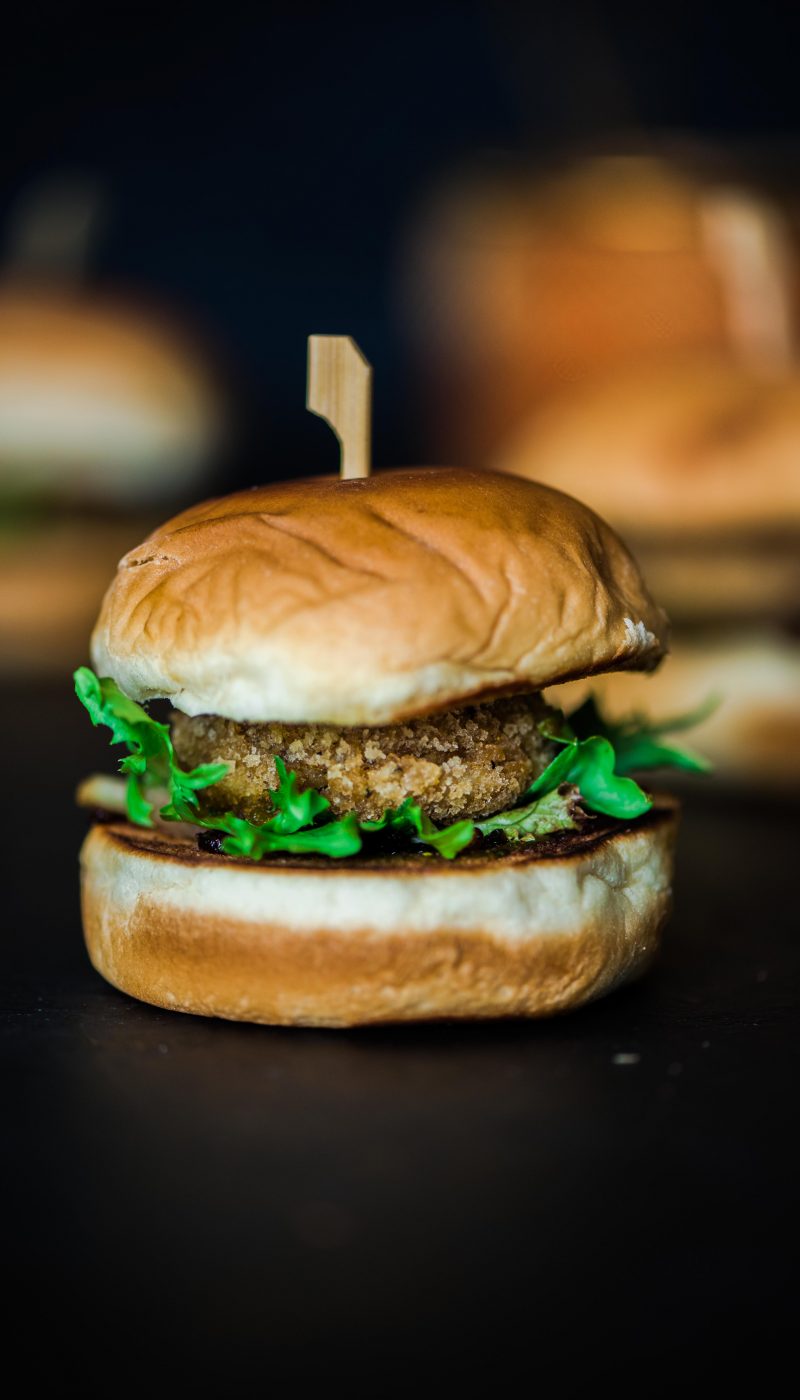 Salmon Sliders