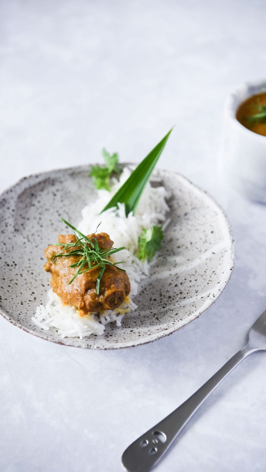 Nonya Chicken Curry 1